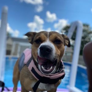 Meet your Posher, Malik